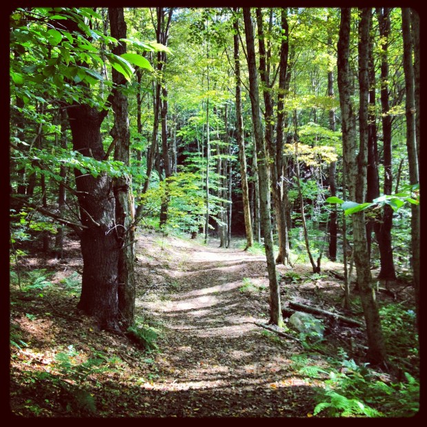 Notice: Intermittent Trail Closures and Trail&nbsp;Re-Routing