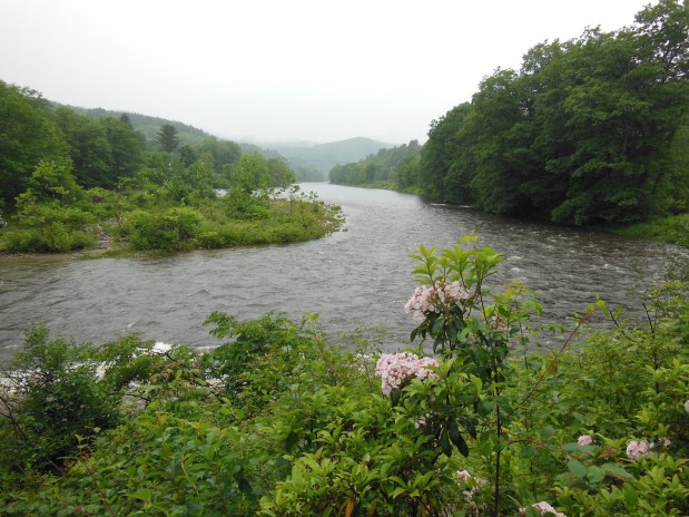 A Trail for All&nbsp;Walks