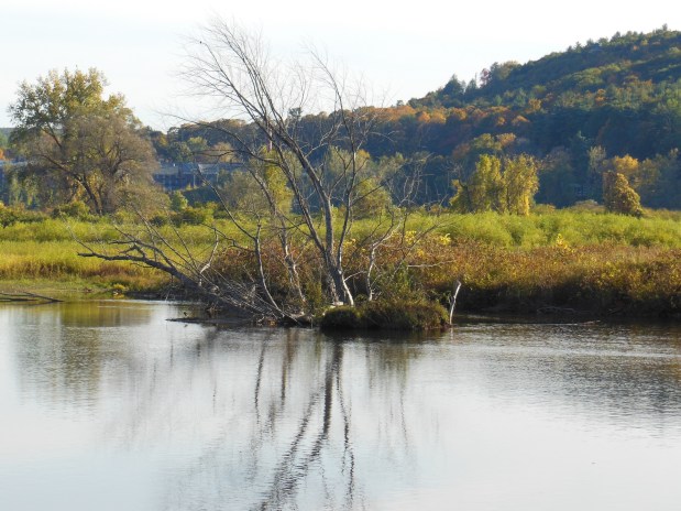 Friends of the West River Trail Acquire and Conserve Key Land&nbsp;Parcel