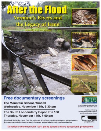 After the Flood Poster