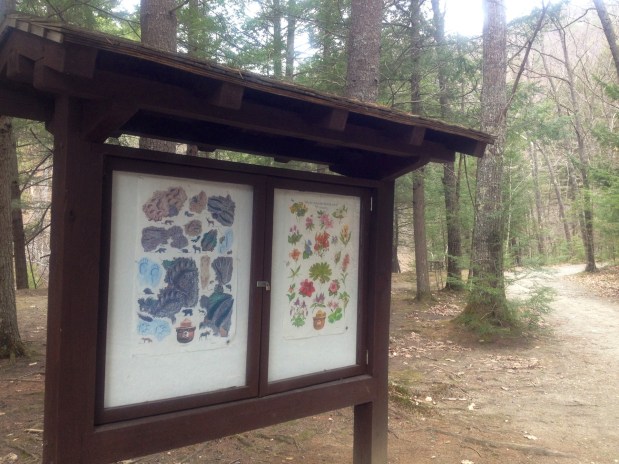 West River Trail Section in Jamaica&nbsp;Vermont