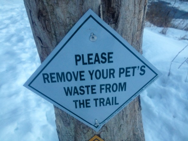 Brattleboro Bridge Replacement: The Lower Section Trail is&nbsp;Open