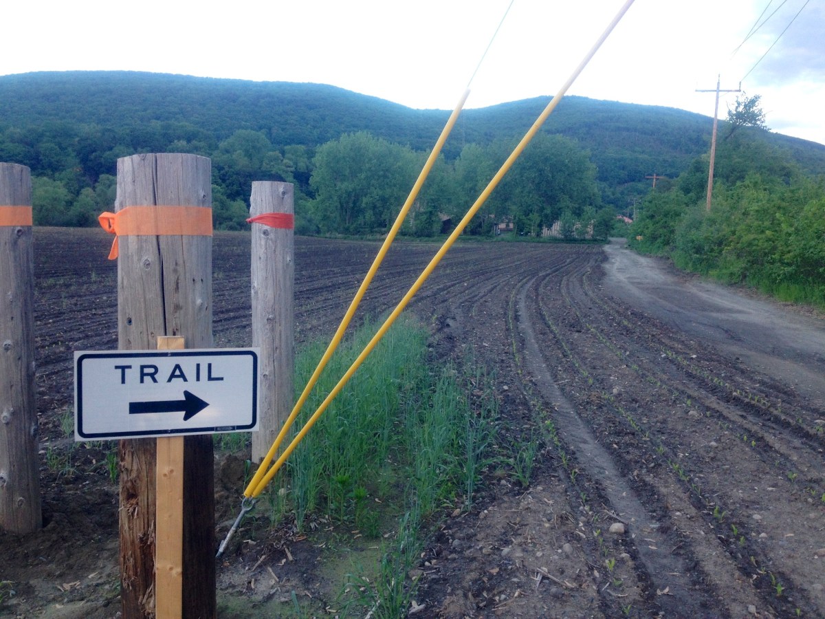 west river trail detour at marina trailhead