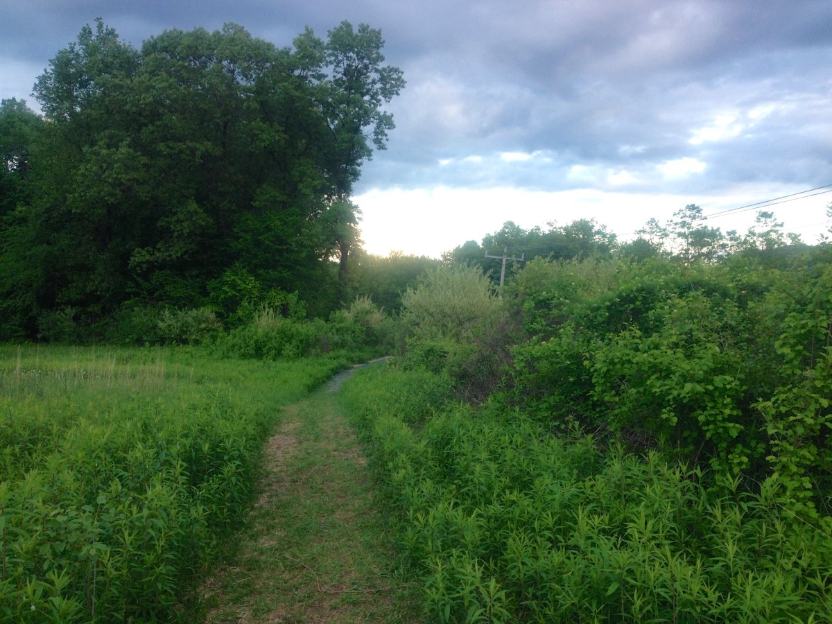 west river trail detour at marina trailhead