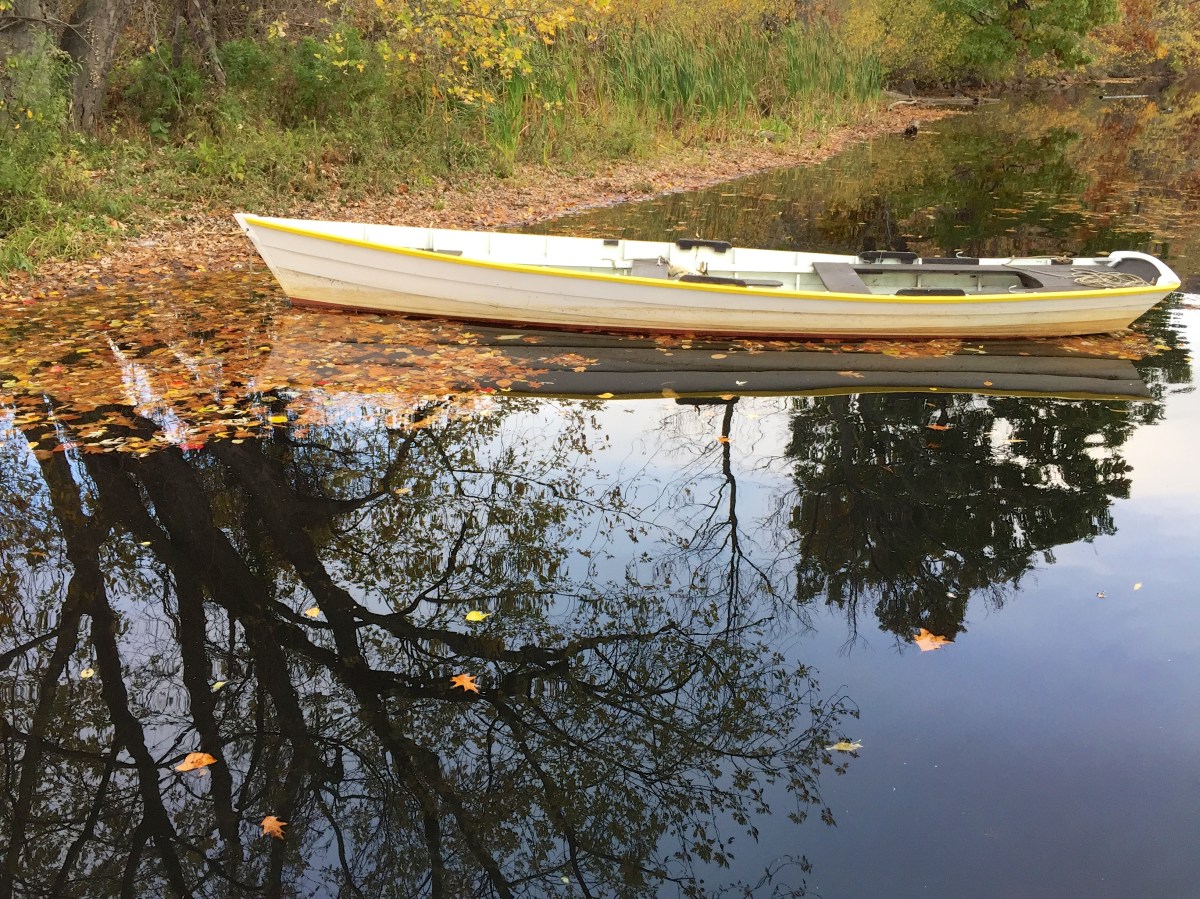 West River Trail Autumn 2014