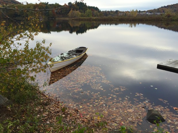 Fall 2014 Newsletter & Trail Work&nbsp;Day