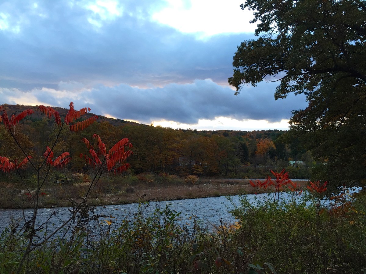 West River Trail Autumn 2014