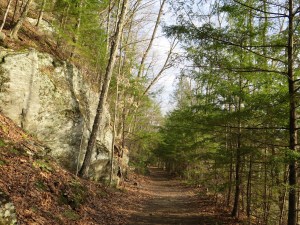 West River Trail April 2015