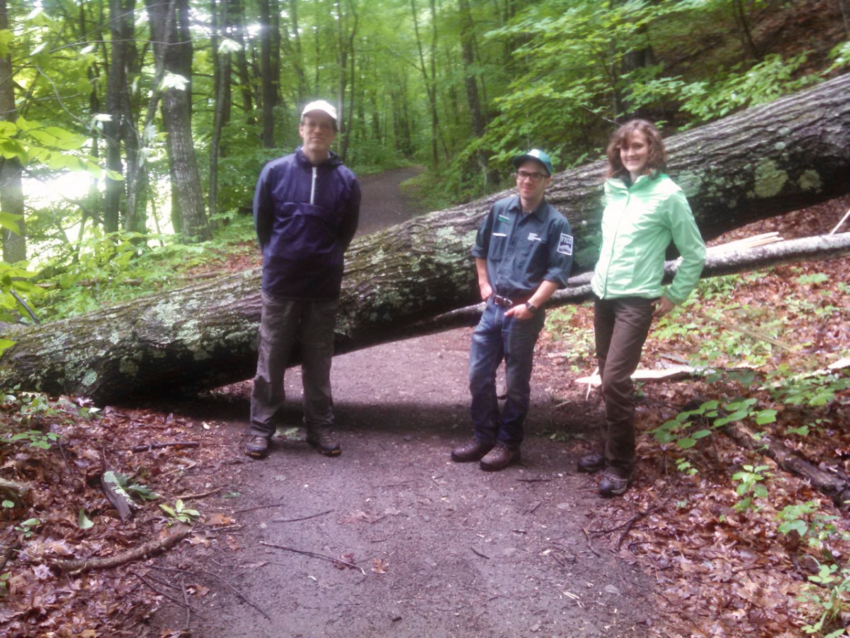 West River Trail, tree clearing