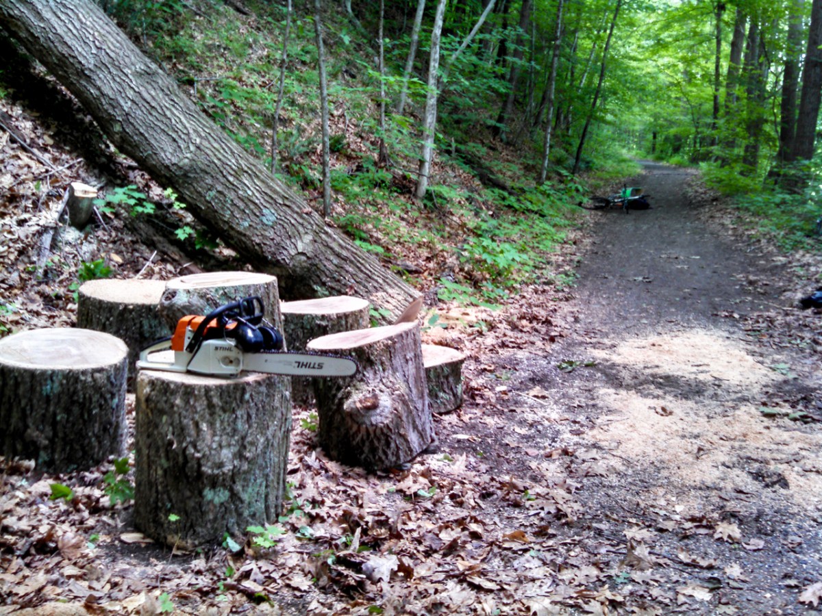 West River Trail, tree clearing