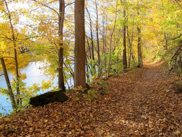 West River Trail October 2015