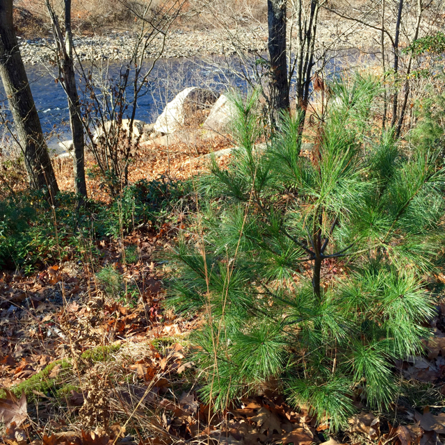 West River Trail, Vermont