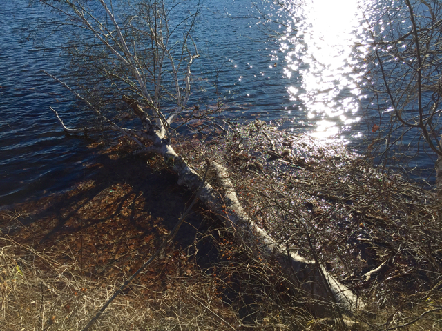 West River Trail, Vermont