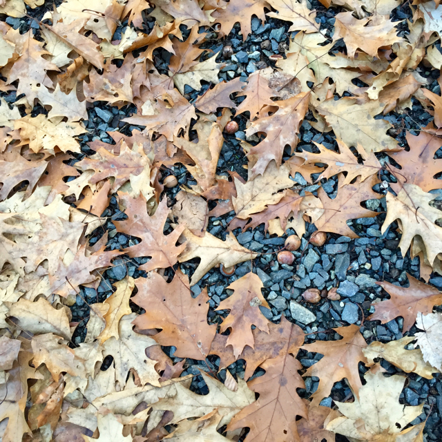 West River Trail, Vermont