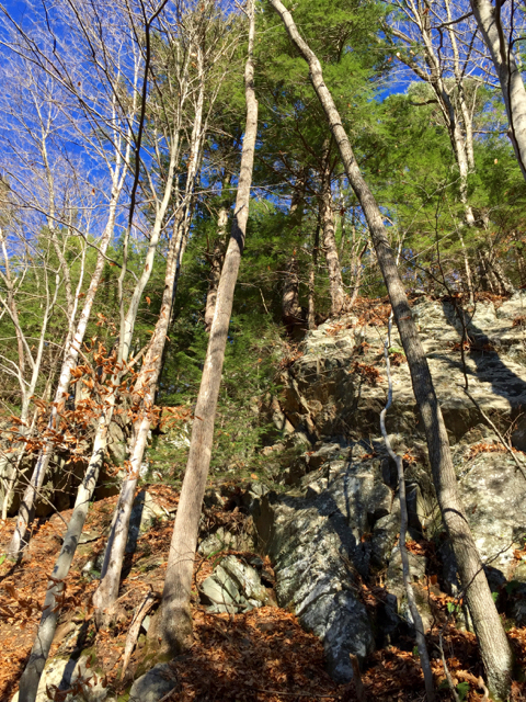 West River Trail, Vermont