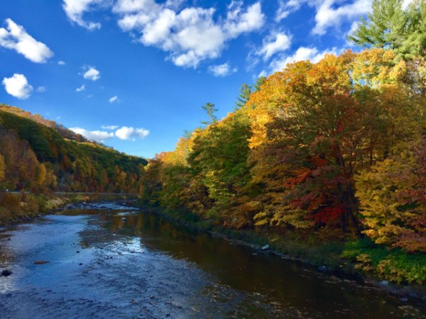 West River Trail, Autumn 2016