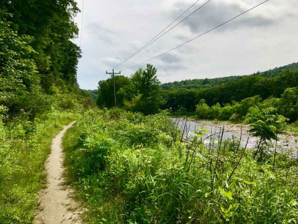 West River Trail Rice Farm Road Access