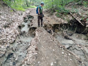 WRT trail workday June 2017 - 2