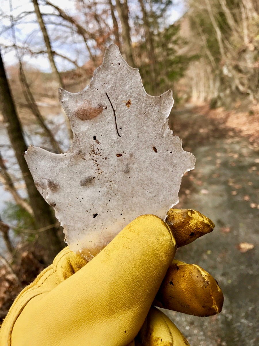 West River Trail Workday