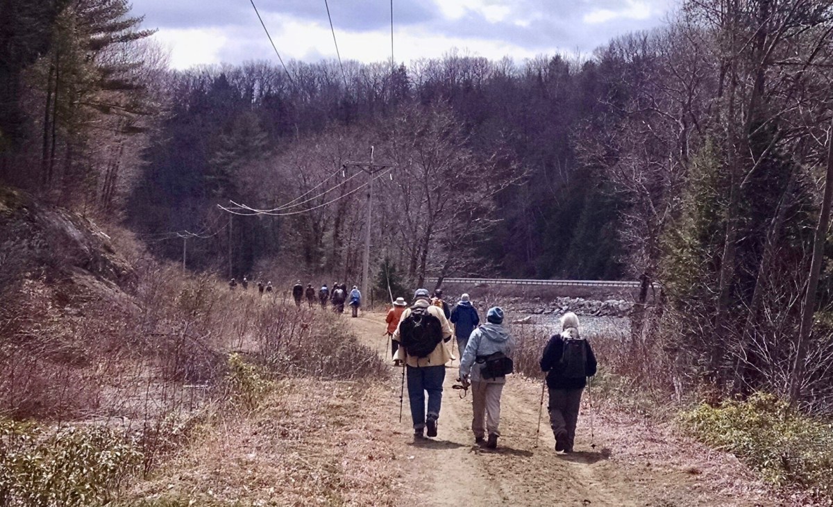 West River Trail, April 2018