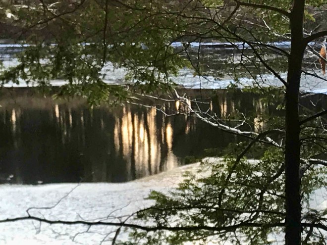 West River Trail Autumn 2019.