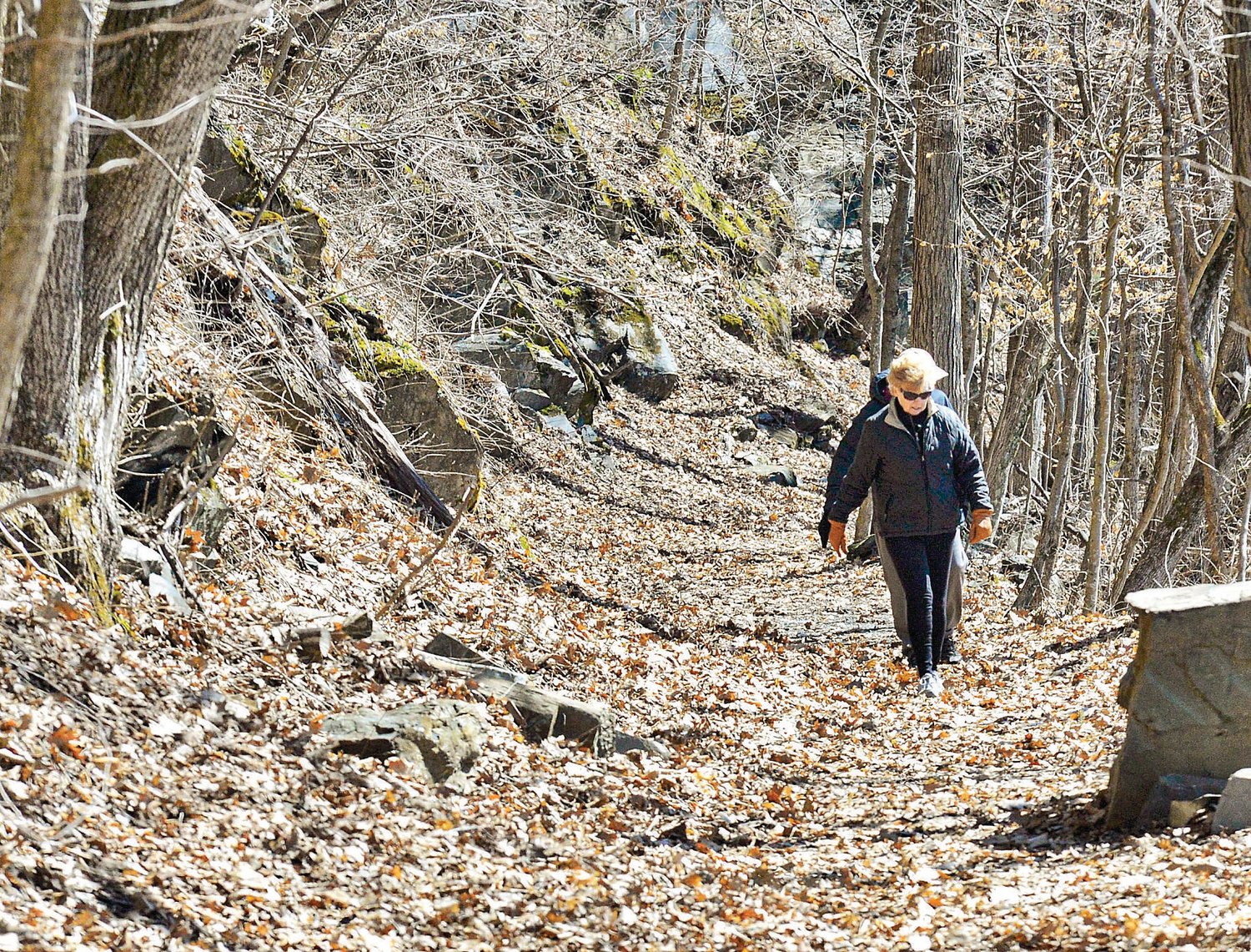 West River Trail March 2020