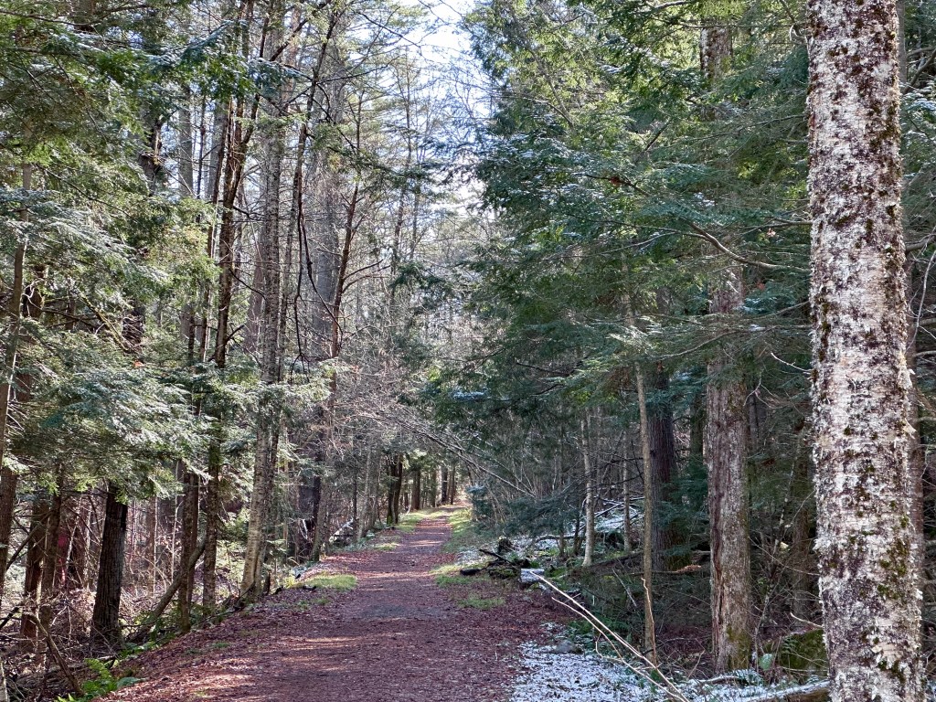 West River Trail - Upper Section Trailhead Nov 2025